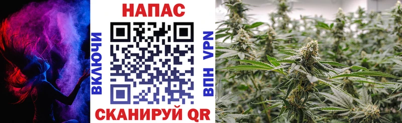 Наркошоп купить Гашиш  Псилоцибиновые грибы  Амфетамин  А ПВП  Мефедрон  Cocaine  NBOMe  МАРИХУАНА  Кропоткин